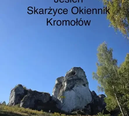 Rajd „Jurajska Jesień” – uczniowie SP6 Zawiercie na szlaku Skarżyce – Okiennik – Kromołów