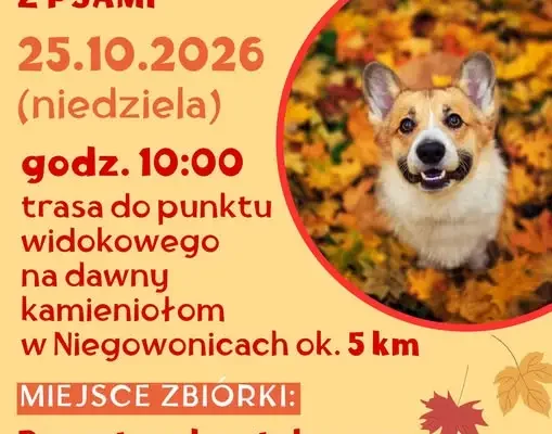 Jesienny spacer socjalizacyjny z psami w Łazach – 25 października