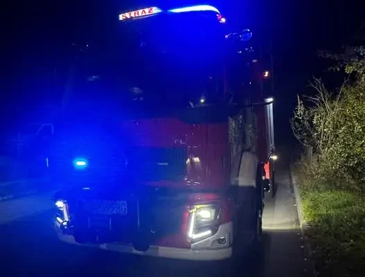 Pożar pozostałości roślinnych i drzew w Porębie przy ul. Myśliwskiej