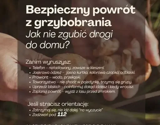 Sezon na grzyby w pełni. Policja apeluje o rozwagę i przypomina o zasadach bezpieczeństwa w lesie