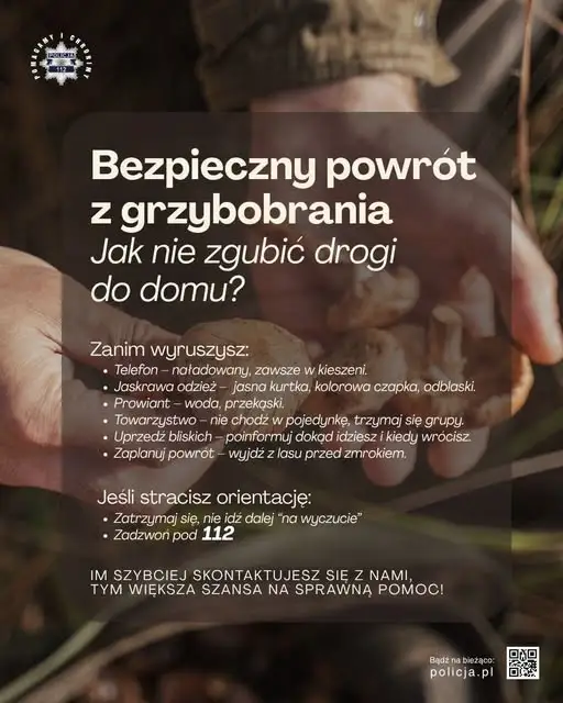 Sezon na grzyby w pełni. Policja apeluje o rozwagę i przypomina o zasadach bezpieczeństwa w lesie